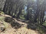  Fenders Ferry Road - Photo 2
