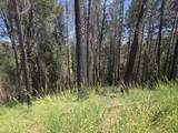  Fenders Ferry Road - Photo 7
