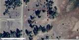000 Ponderosa Drive - Photo 1