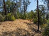 4820 Aloe Vera Drive - Photo 13