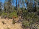 4820 Aloe Vera Drive - Photo 15