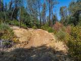 4820 Aloe Vera Drive - Photo 21