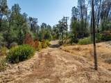 4820 Aloe Vera Drive - Photo 24