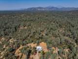 4820 Aloe Vera Drive - Photo 8