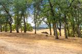  Somerset Drive - Photo 8