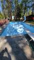 38327 California 299 - Photo 41