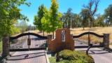 Canto De Las Lupine Drive - Photo 4