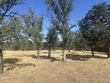 22554 River View Drive - Photo 3