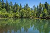 31503 Emigrant Trail - Photo 4