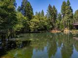 31503 Emigrant Trail - Photo 68