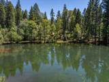 31503 Emigrant Trail - Photo 72