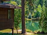 31503 Emigrant Trail - Photo 78
