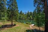 31503 Emigrant Trail - Photo 83
