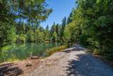 31503 Emigrant Trail - Photo 98