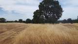 Lot 63 River Downs Way - Photo 8