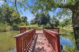 3031 Denice Way - Photo 69