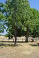 540-090 Little Valley Road - Photo 41