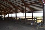 540-090 Little Valley Road - Photo 44