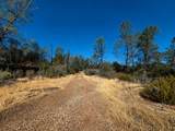 27010 Lack Creek Drive - Photo 10