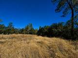 27010 Lack Creek Drive - Photo 11