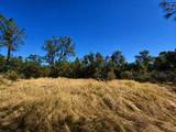 27010 Lack Creek Drive - Photo 13