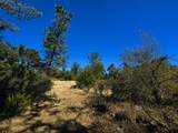 27010 Lack Creek Drive - Photo 14