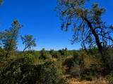 27010 Lack Creek Drive - Photo 15