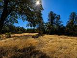 27010 Lack Creek Drive - Photo 2