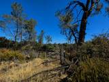 27010 Lack Creek Drive - Photo 9