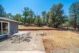 13613 Jaybird Way - Photo 31