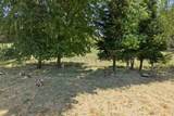 3339 Dodson Lane - Photo 53