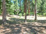0000 Timber Hills Road - Photo 3