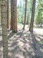 0000 Timber Hills Road - Photo 6