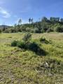 10266 White Star Road - Photo 3