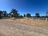 171252 Quail Ridge Road - Photo 15
