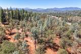 4200 Pine Grove Avenue - Photo 17