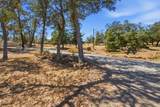 28612 Alpine Way - Photo 49