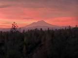 28612 Alpine Way - Photo 72