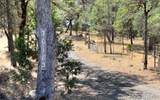 30183 Oak Run To Fern Road - Photo 2