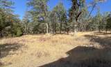 30183 Oak Run To Fern Road - Photo 22
