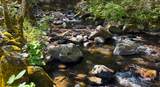 30183 Oak Run To Fern Road - Photo 26