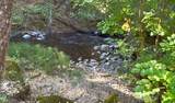 30183 Oak Run To Fern Road - Photo 28