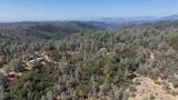 93.57 Acres Backbone Road - Photo 35