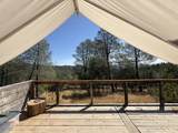 93.57 Acre Backbone Road - Photo 11