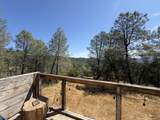 93.57 Acre Backbone Road - Photo 28