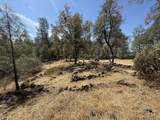 93.57 Acre Backbone Road - Photo 29