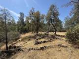 93.57 Acre Backbone Road - Photo 30