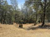 93.57 Acre Backbone Road - Photo 31
