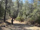 93.57 Acre Backbone Road - Photo 32