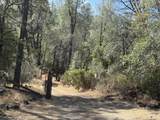 93.57 Acre Backbone Road - Photo 33